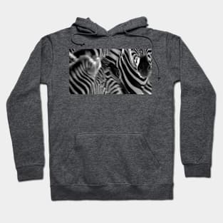 Zebra print monochrome series 2 Hoodie